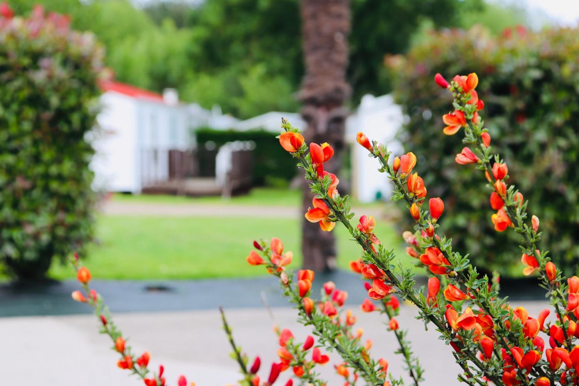 Camping Les Mancellieres Avrille  Ngoại thất bức ảnh