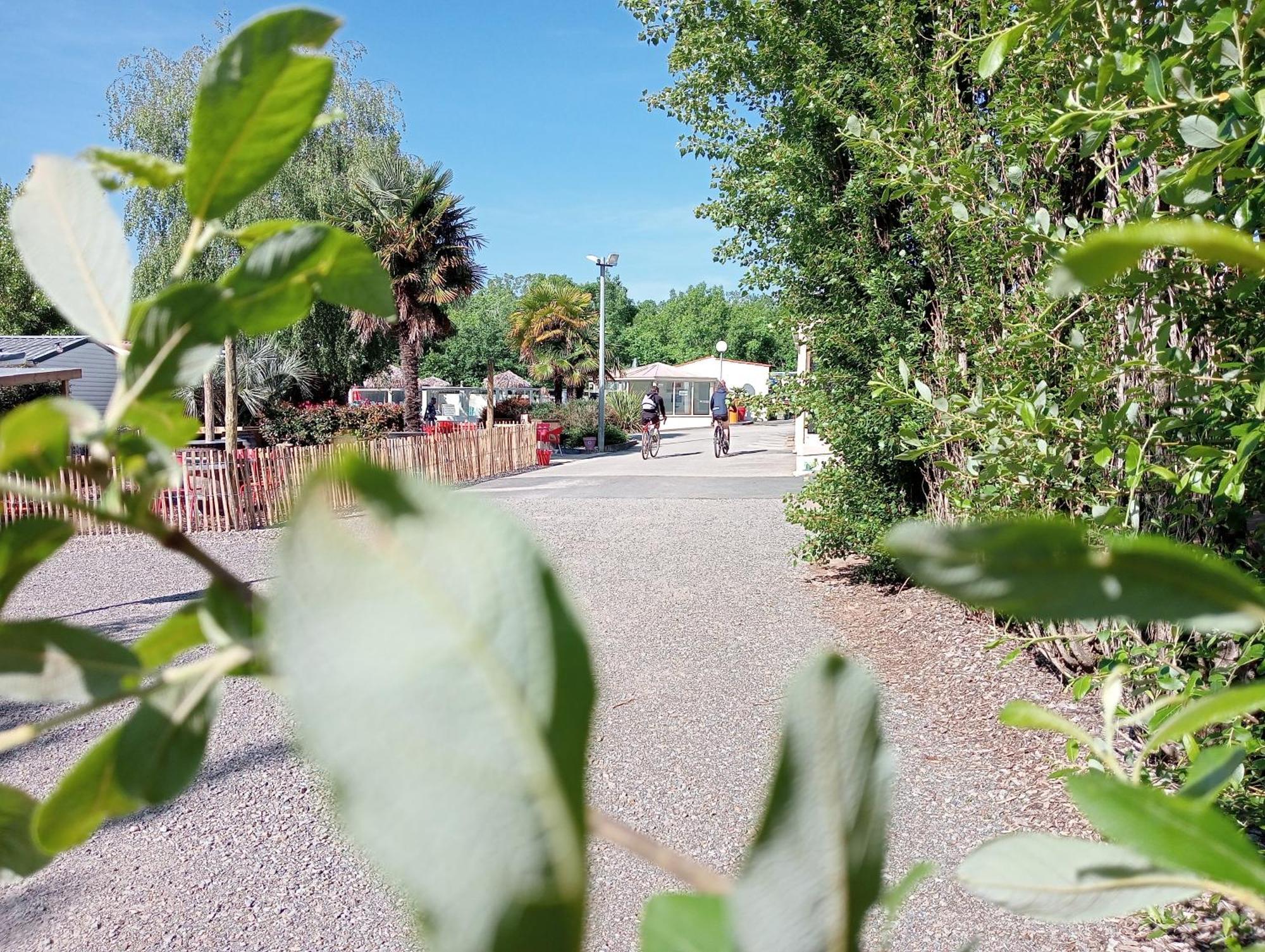 Camping Les Mancellieres Avrille  Ngoại thất bức ảnh